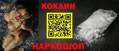 стаф Дубна