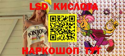 стаф Дубна