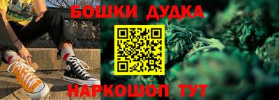стаф Дубна