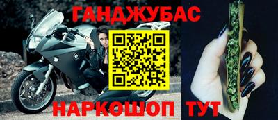 стаф Дубна