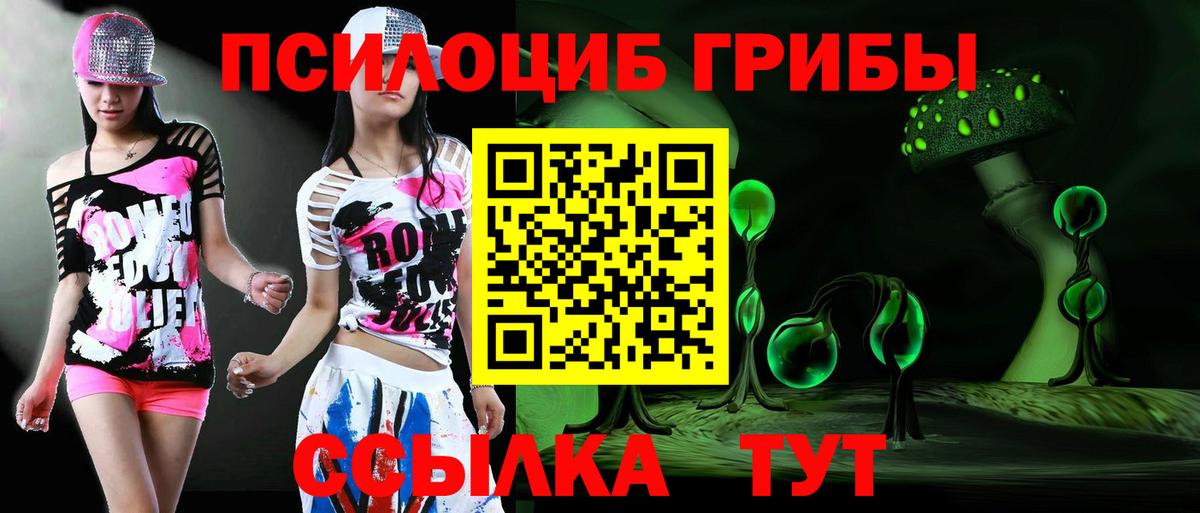 Галлюциногенные грибы Magic Shrooms  Вход с VPN  Дюртюли  Псилоцибиновые грибы прущие грибы 