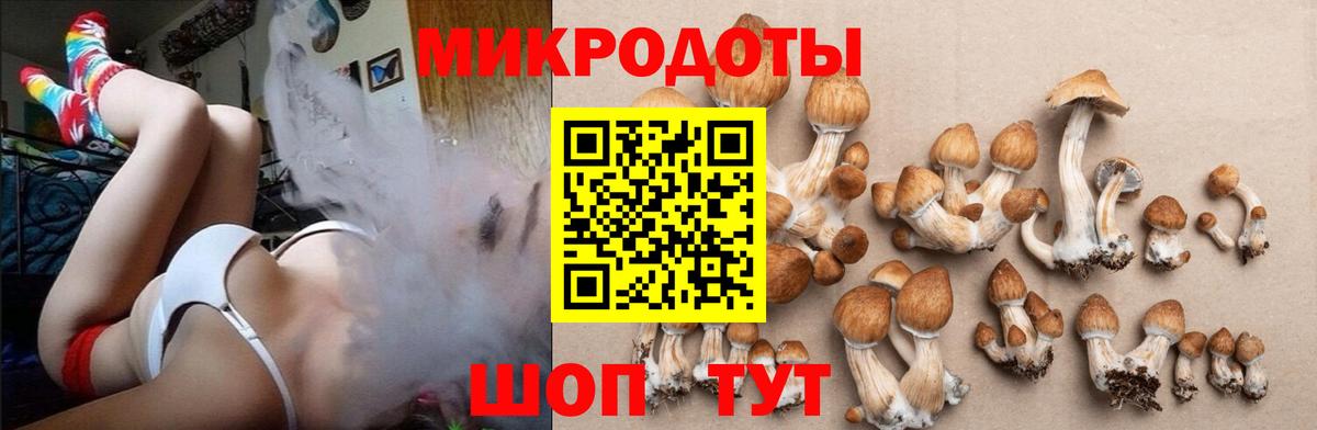 Галлюциногенные грибы Psilocybine cubensis Дюртюли